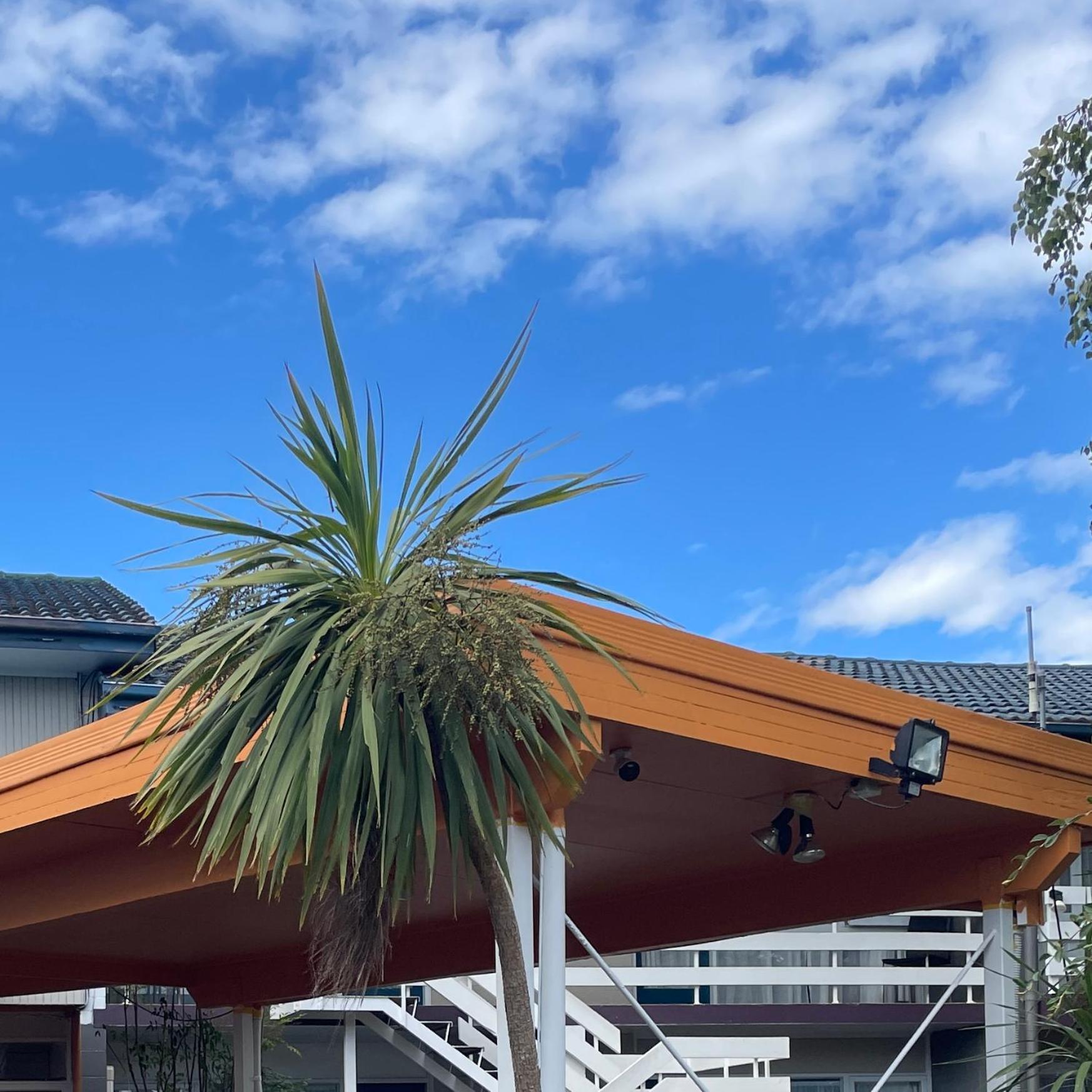 Mount Eden Motel Окленд Екстер'єр фото